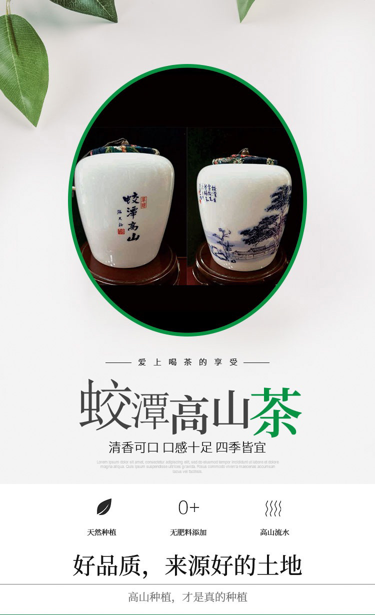 龙岩高山绿茶翠琼