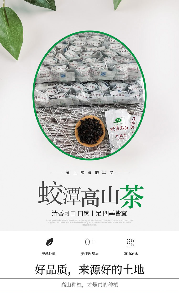 龙岩蛟潭高山碳培乌龙（白）