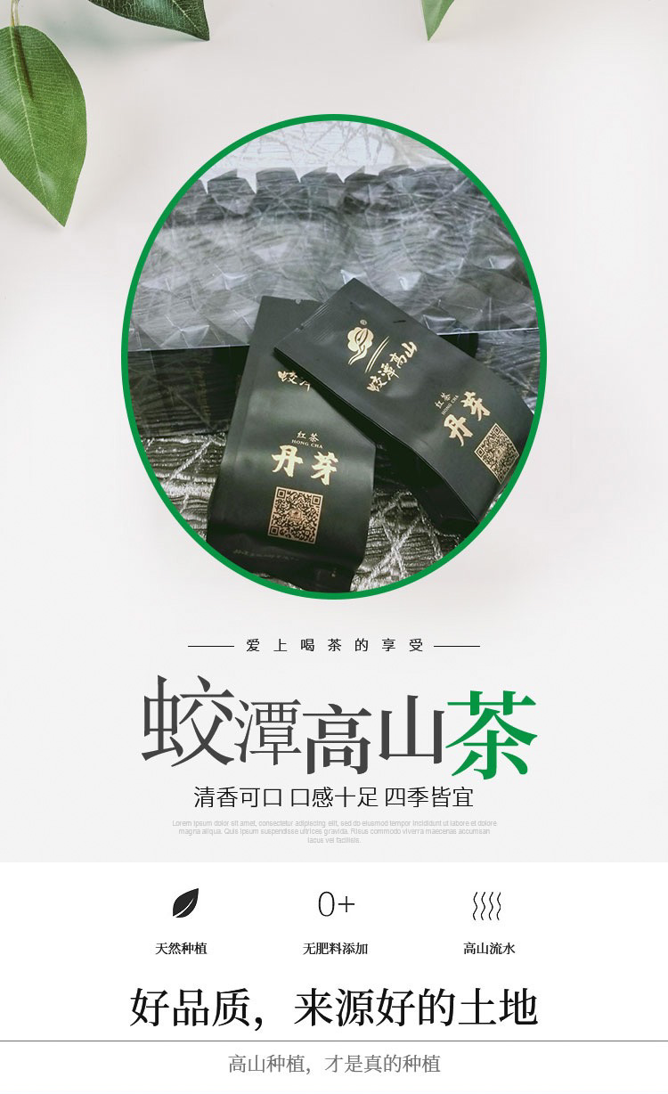 龙岩高山红茶丹芽