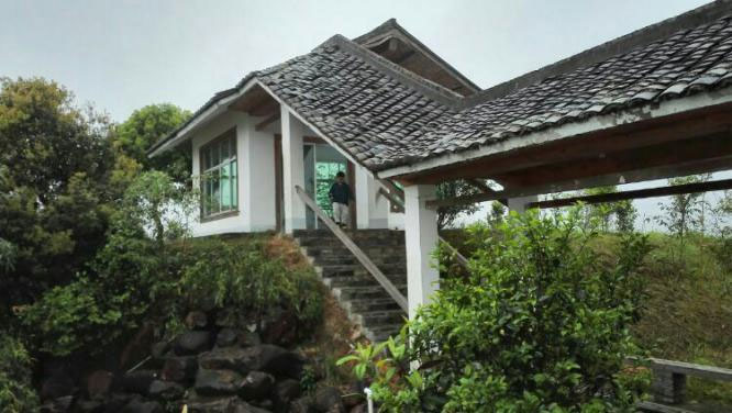 董事长林立坤与张天福【中国茶学界泰斗，中国近现代十大茶叶专家、制茶和审评专家】 