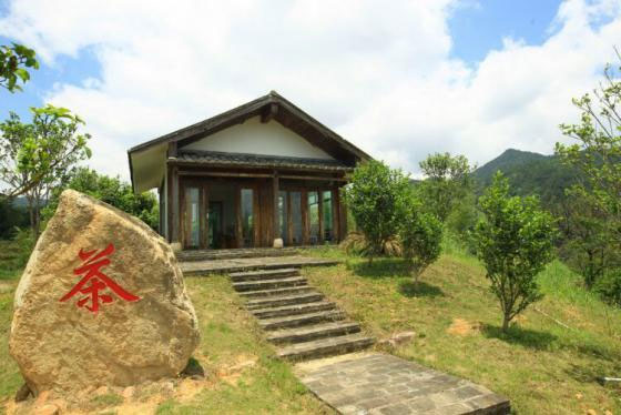 董事长林立坤与张天福【中国茶学界泰斗，中国近现代十大茶叶专家、制茶和审评专家】 