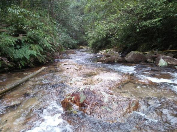 蛟潭高山： 品牌故事---【蛟潭乡村生态旅游环境篇三】 