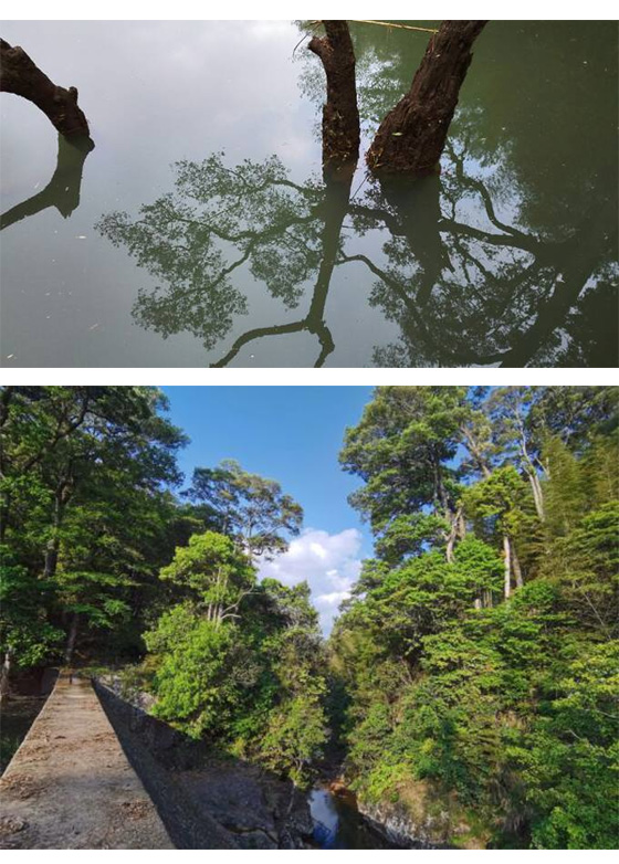 蛟潭高山： 品牌故事---【蛟潭乡村生态旅游环境篇三】 