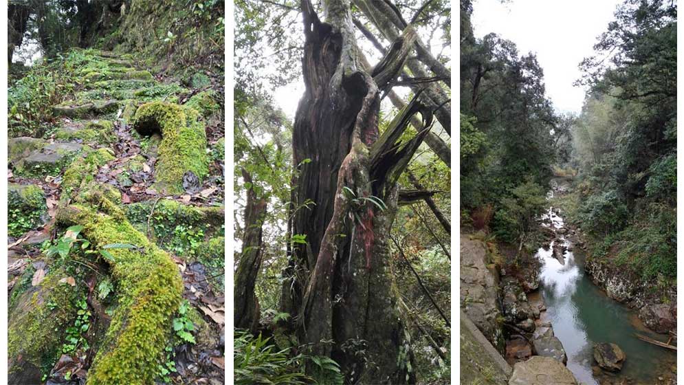 蛟潭高山： 品牌故事---【蛟潭乡村生态旅游环境篇三】 