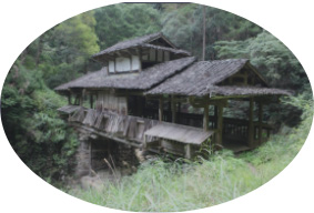 蛟潭高山： 品牌故事---【蛟潭人文历史篇四】