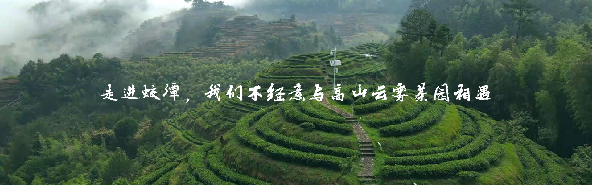 福建蛟潭高山商贸有限公司