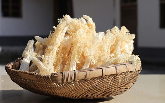 龙岩竹荪批发采购