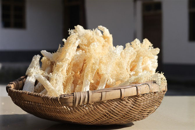 龙岩竹荪批发采购