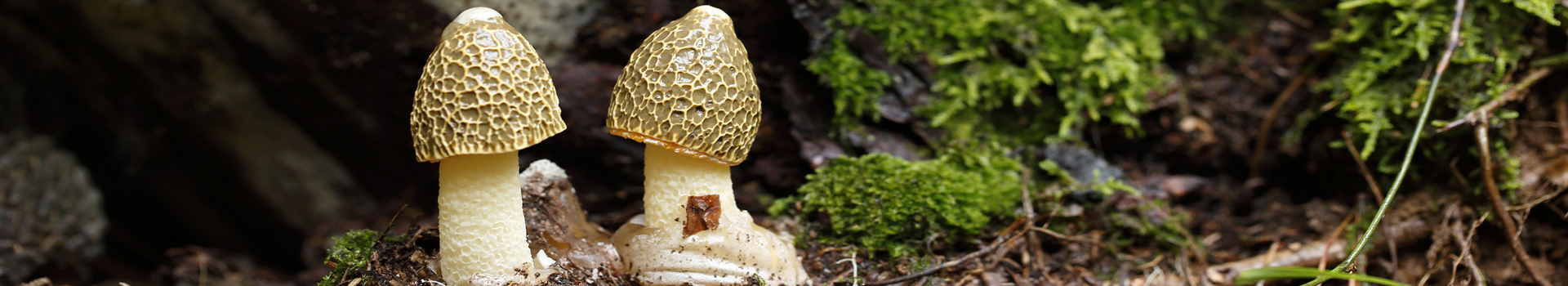 龙岩顺腾商贸有限公司