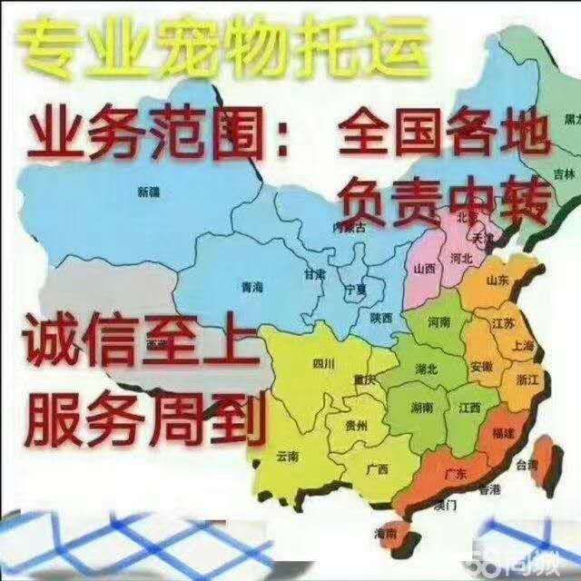 沈阳静远汽车租赁有限公司