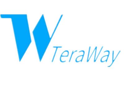 福州太微信息技术有限公司