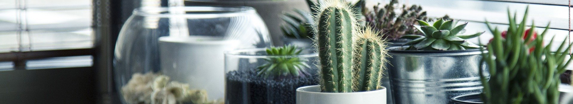 长汀县品艺装饰工程有限公司