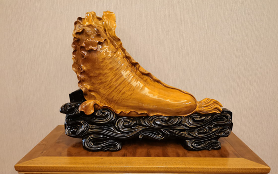 漳州金丝楠木小叶桢楠白菜