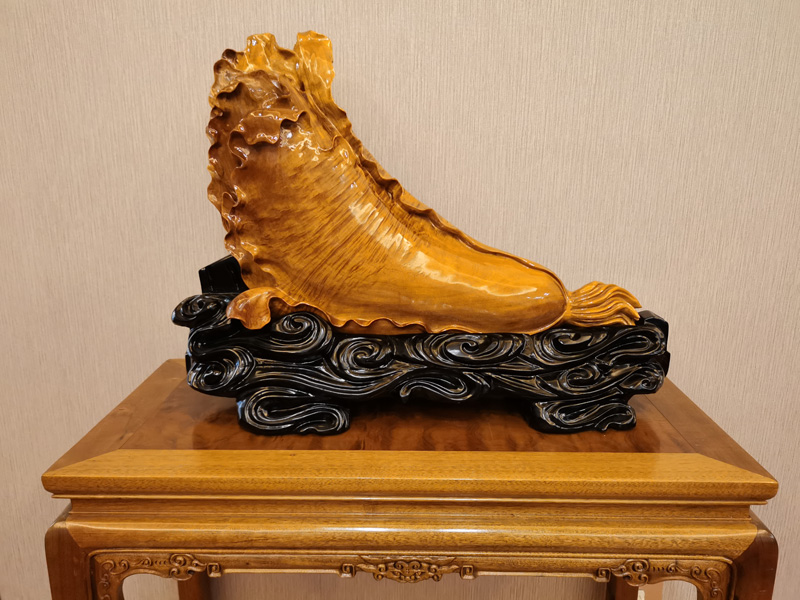 漳州金丝楠木小叶桢楠白菜