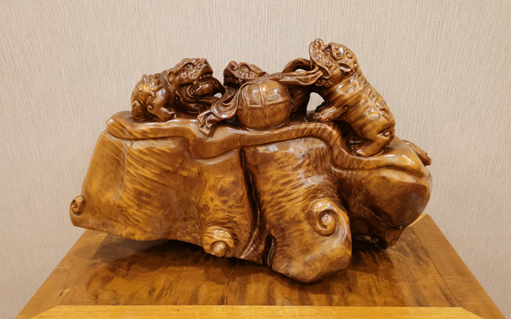 漳州金丝楠木小叶桢楠，***