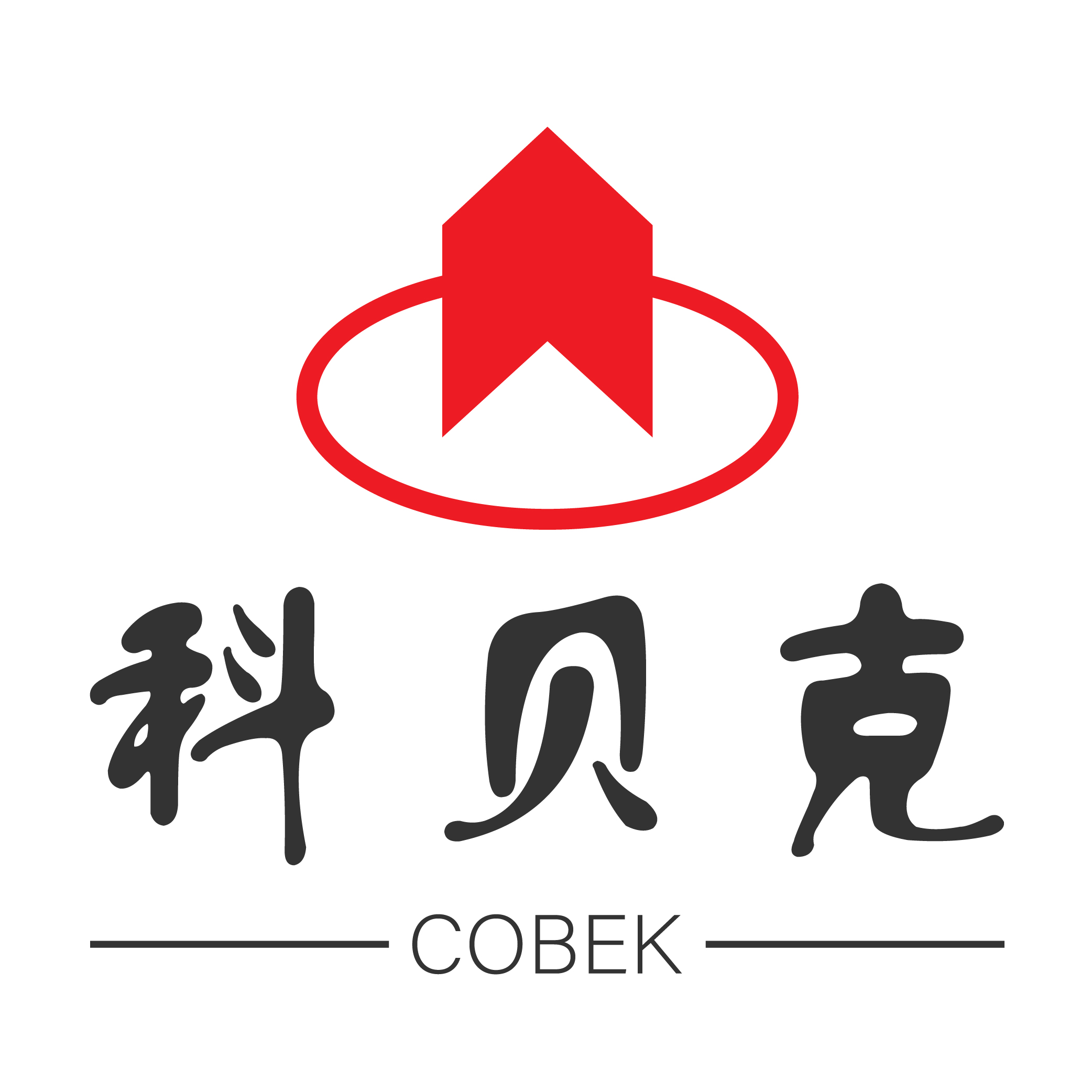 厦门科贝克科技有限公司