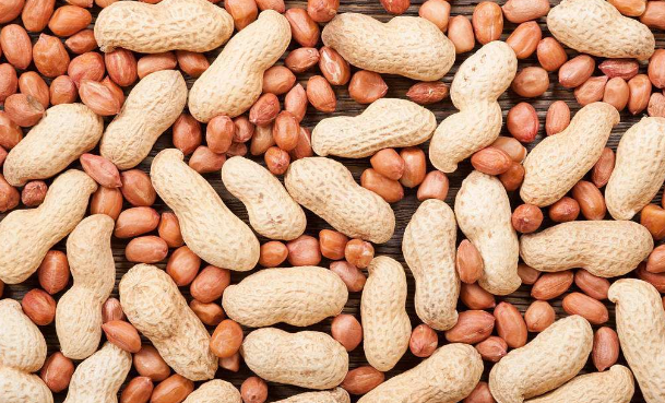 你知道吃花生衣有什么好处吗？花生衣的***与作用