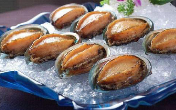 精选南日岛鲍鱼