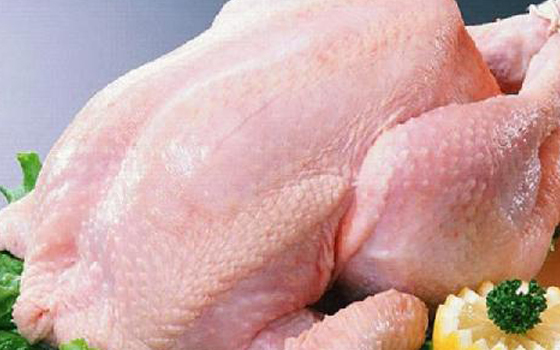 豪鼎汇精选牧村黄清远鸡