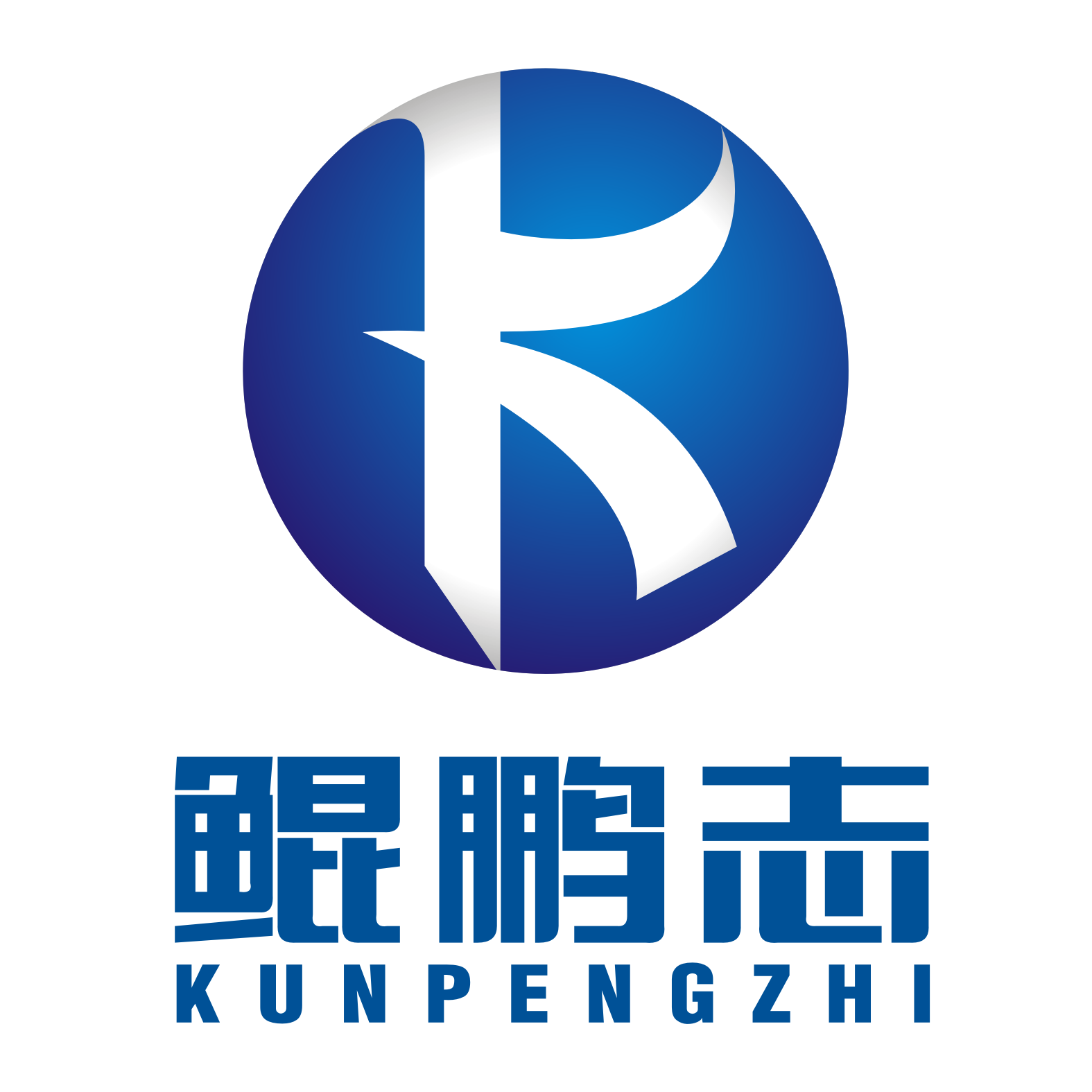 深圳鲲鹏志财务代理有限公司