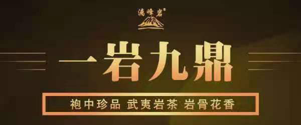 公司简介-福建源韵茶叶有限公司