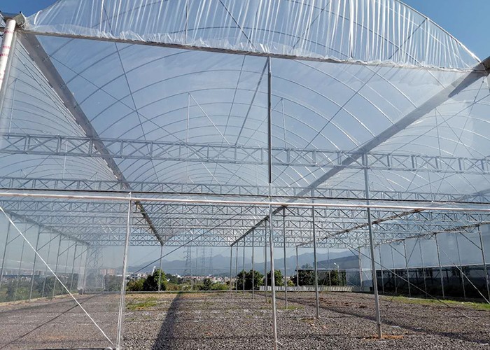 大棚搭建工程