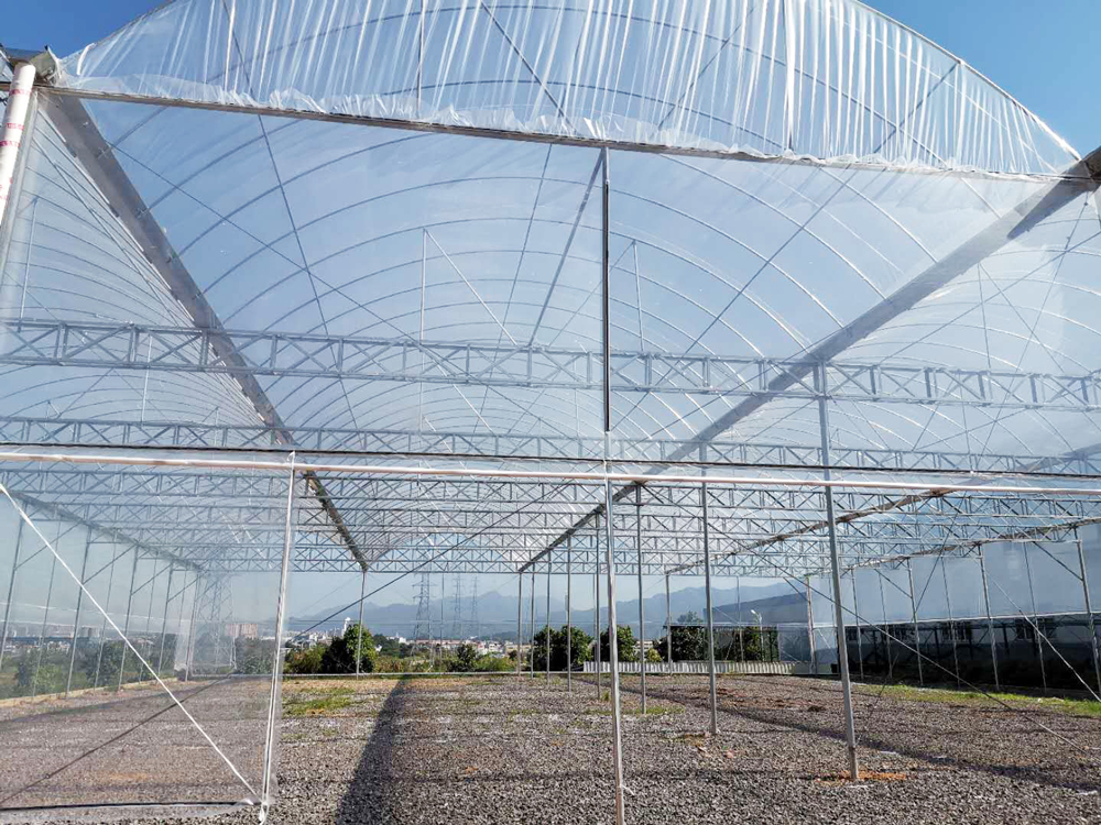 龙岩大型温室大棚 蔬菜温室大棚