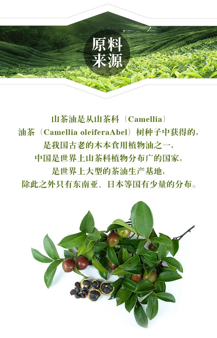 长汀山茶油批发