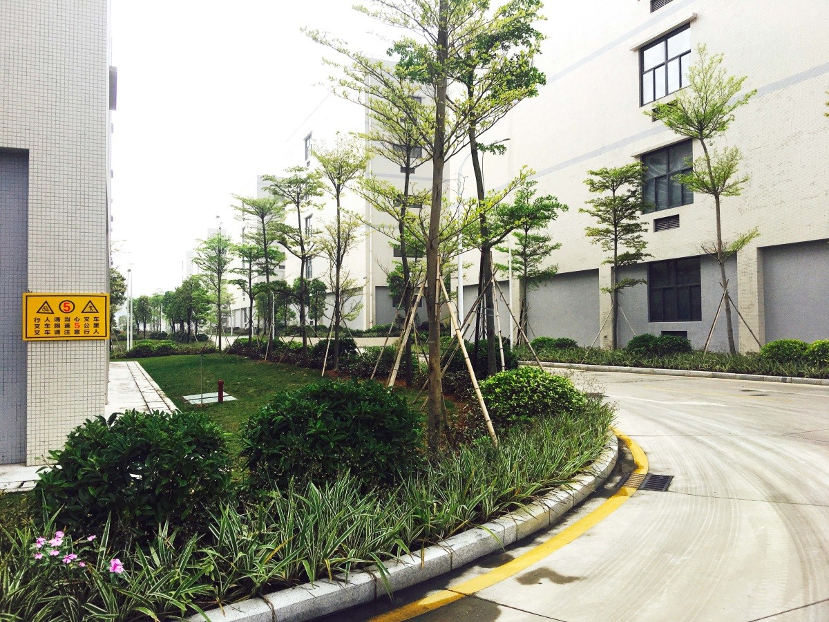 东孚烟叶仓库三期工程项目景观绿化