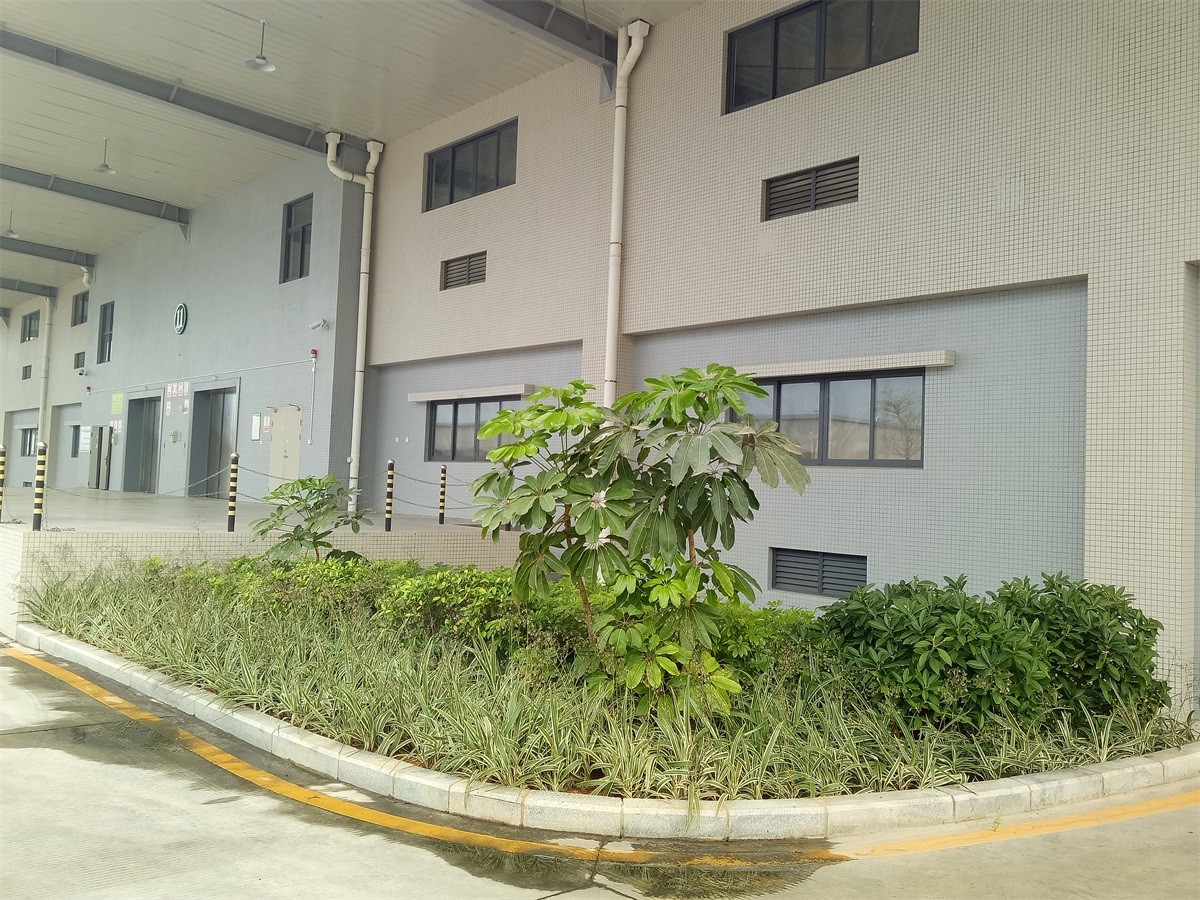 东孚烟叶仓库三期工程项目景观绿化