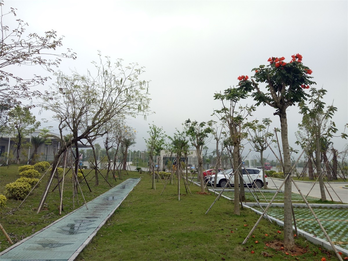 东孚烟叶仓库三期工程项目景观绿化