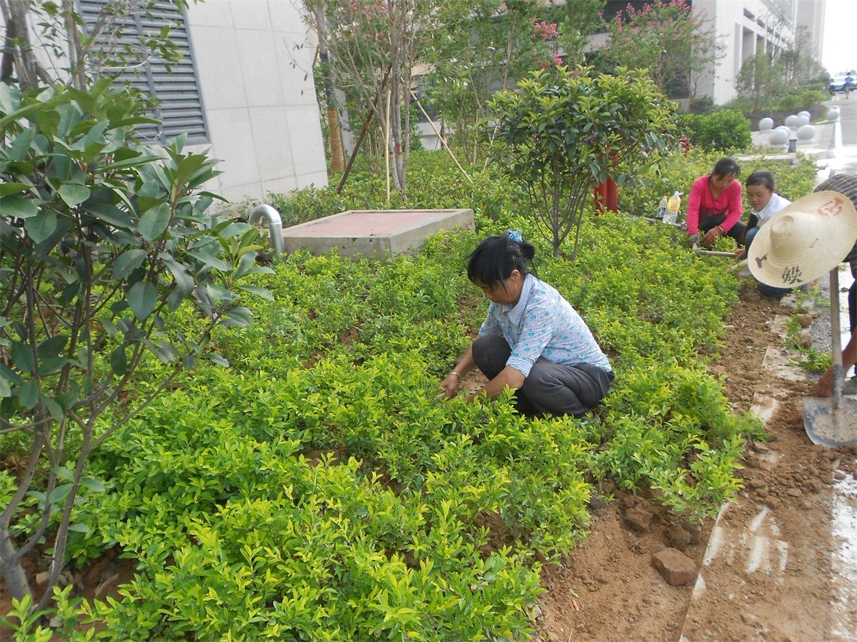 福州东部新城商务中心办公区项目景观工程（施工）