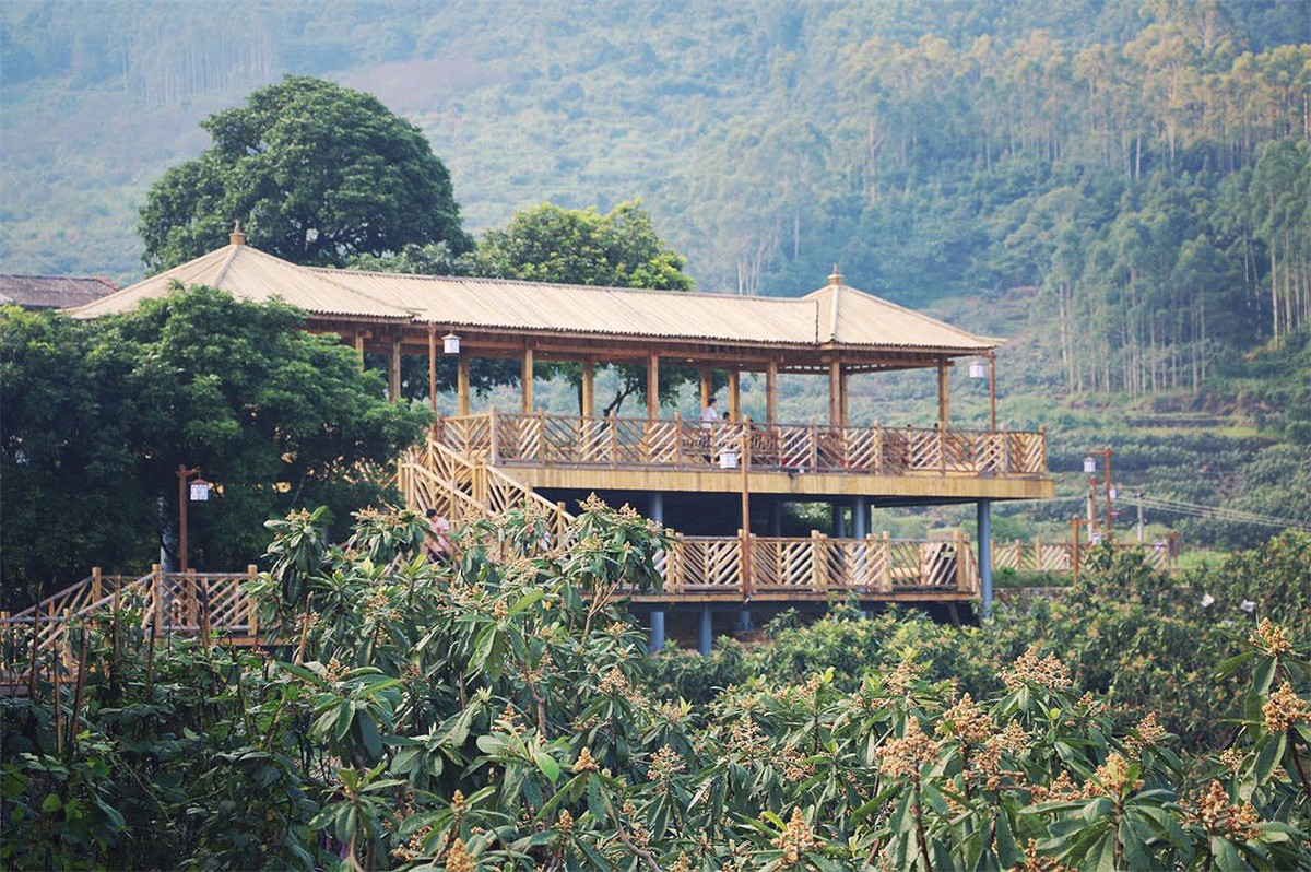 云霄县和平乡枇杷生态观光产业园一期工程