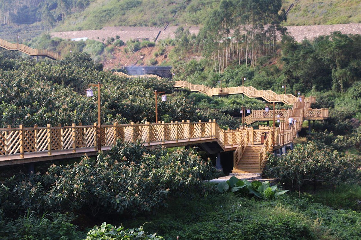 云霄县和平乡枇杷生态观光产业园一期工程