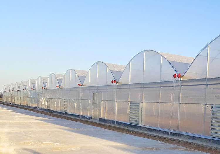 如何对温室大棚进行通风控制？