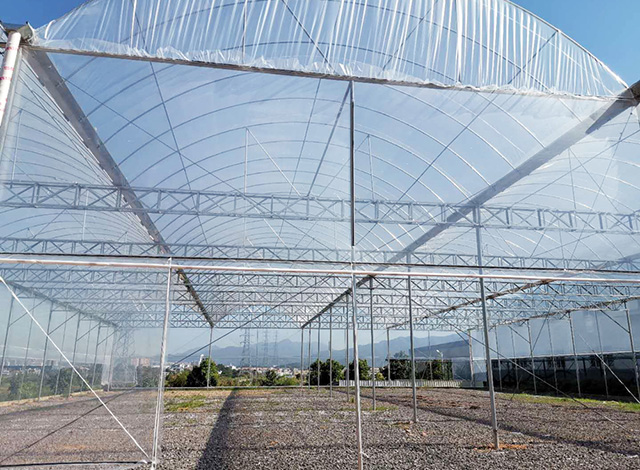 在龙岩温室大棚浇水有哪些注意事项?