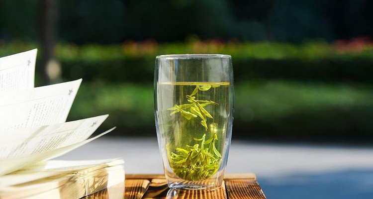 绿茶茶叶基本知识
