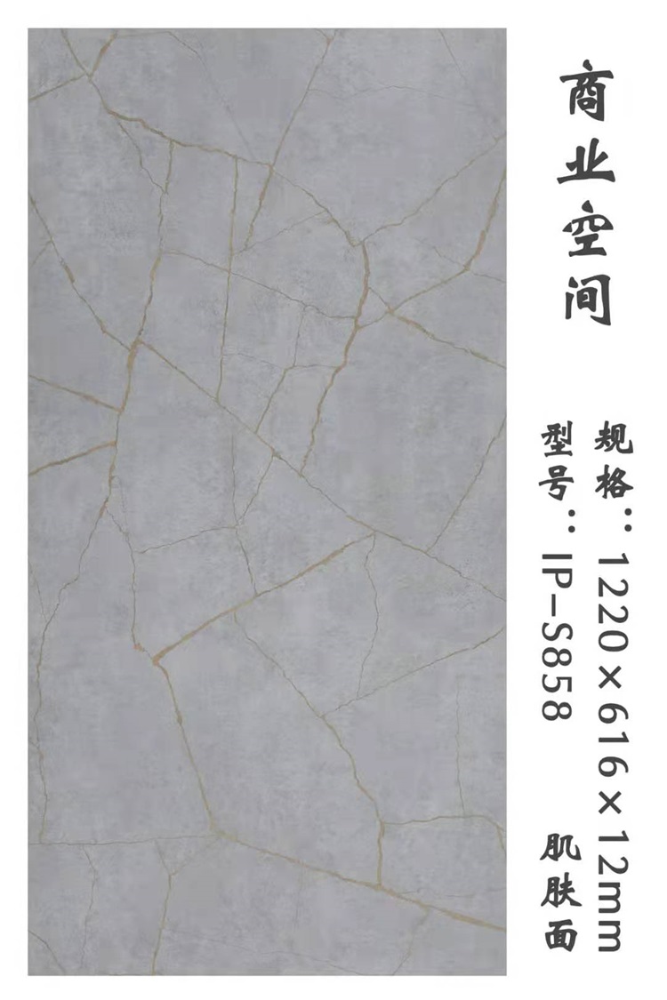 IP-S858