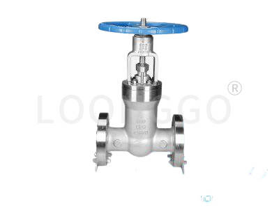 不锈钢电站闸阀
