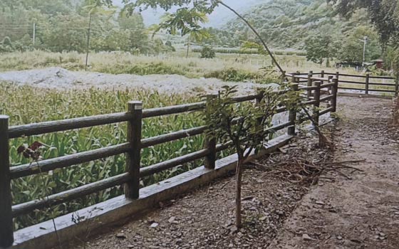 龙岩水泥栏杆安装