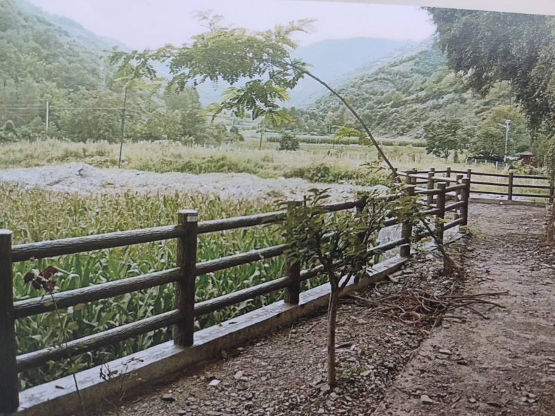 龙岩水泥栏杆安装