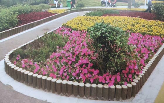 长汀水泥花箱设计