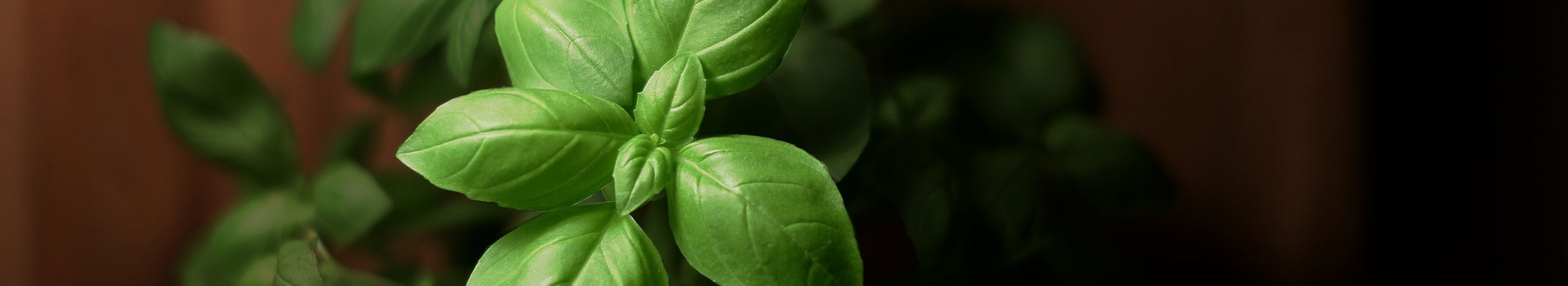 龙岩景兴园林绿化工程有限公司