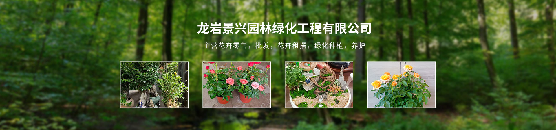 龙岩景兴园林绿化工程有限公司