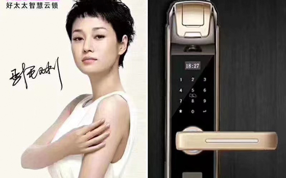 泉州智慧好太太指纹锁