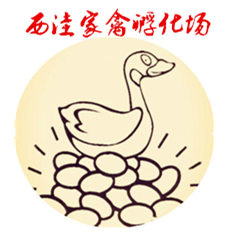 宛城区振山西洼家禽孵化场