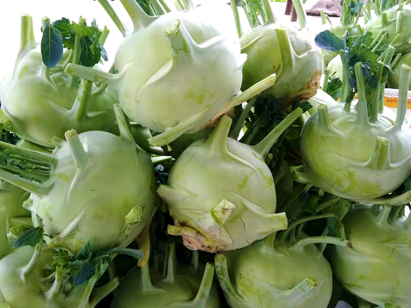 长汀果园采摘基地