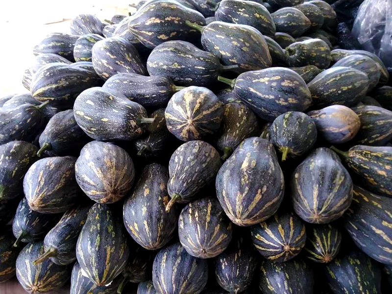 长汀瓜果蔬菜配送