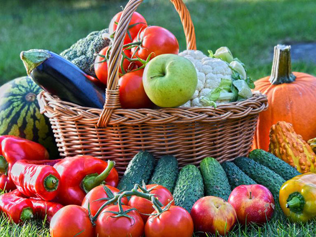 有机蔬菜可以使用肥料吗？长汀百绿生态农业家庭农场是长汀有机蔬菜种植基地