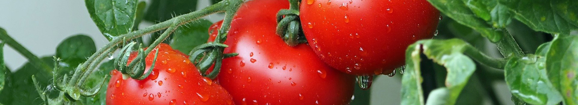 龙岩市畅达丰农业发展有限公司